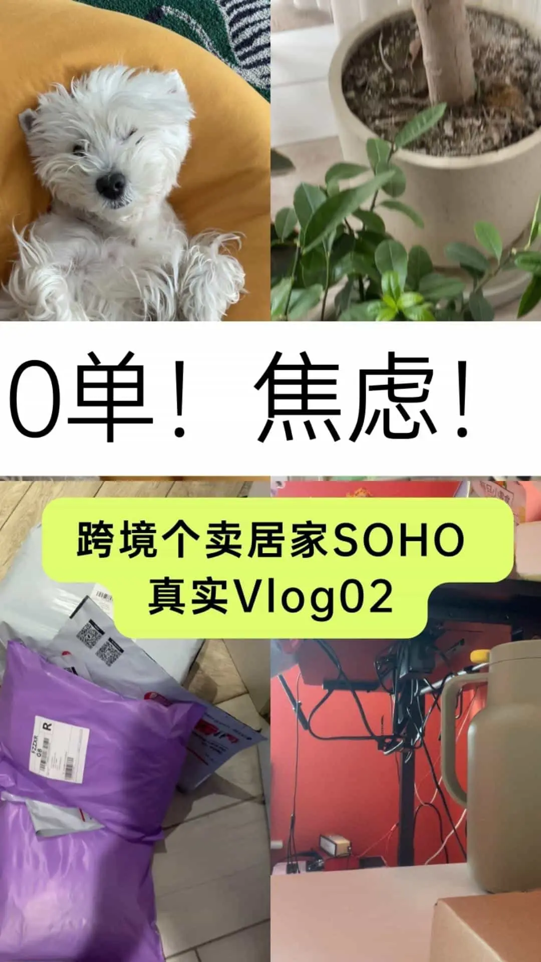 跨境电商卖家零单日常焦虑真实Vlog