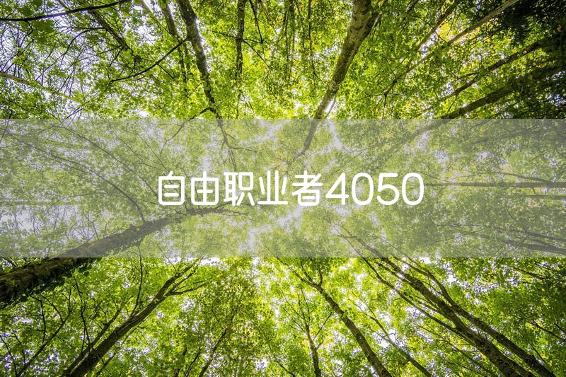 自由职业者4050