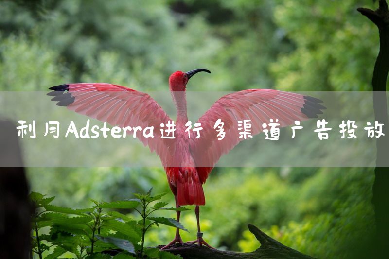 利用Adsterra进行多渠道广告投放