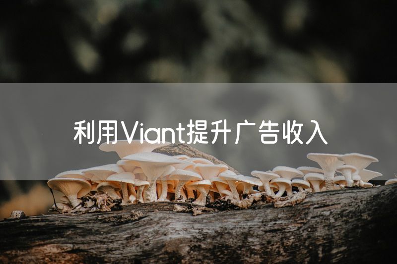 利用Viant提升广告收入