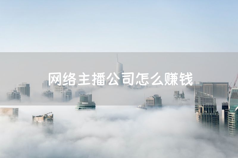 网络主播公司怎么赚钱