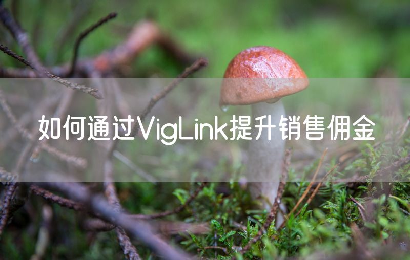 如何通过VigLink提升销售佣金