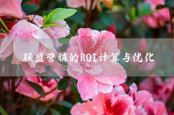 联盟营销的ROI计算与优化