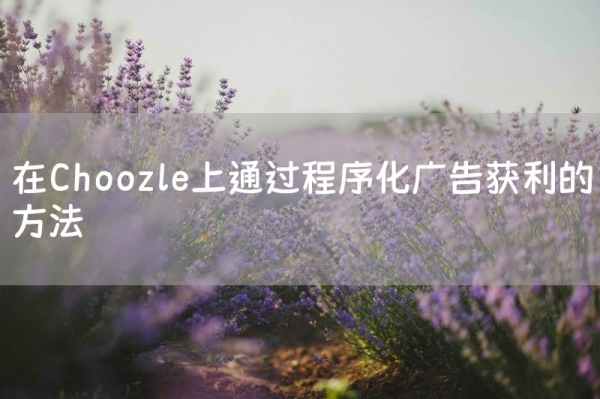 在Choozle上通过程序化广告获利的方法