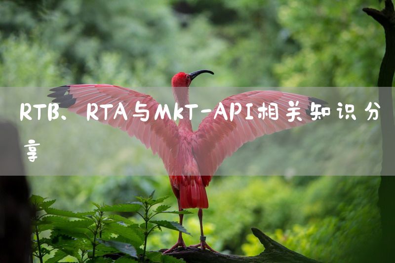 RTB、RTA与MKT-API相关知识分享