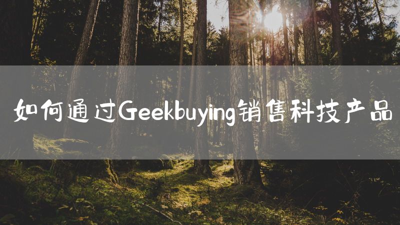 如何通过Geekbuying销售科技产品