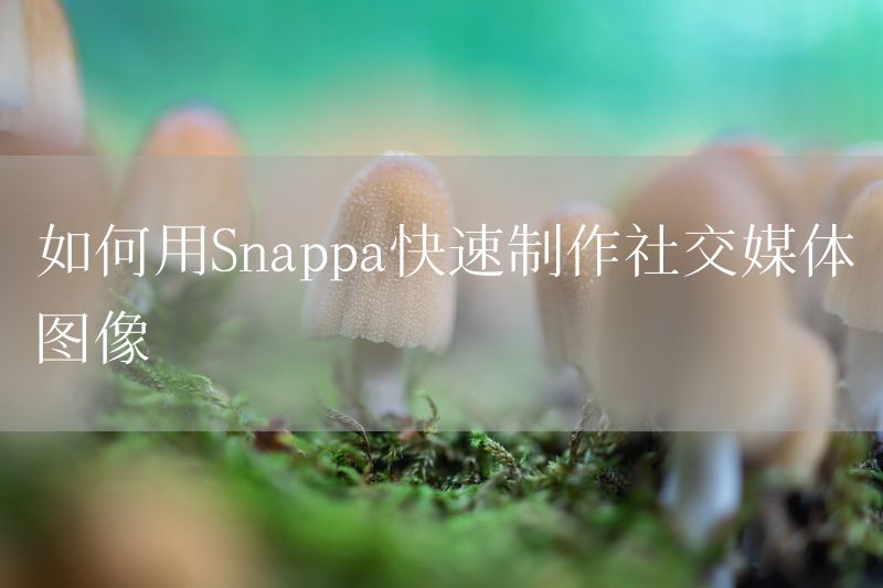 如何用Snappa快速制作社交媒体图像