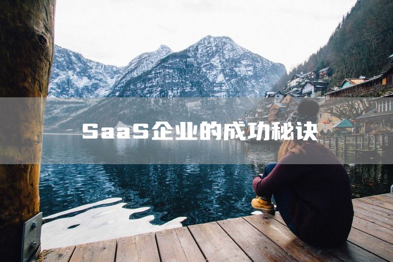 SaaS企业的成功秘诀