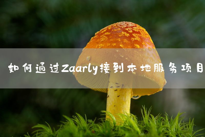 如何通过Zaarly接到本地服务项目