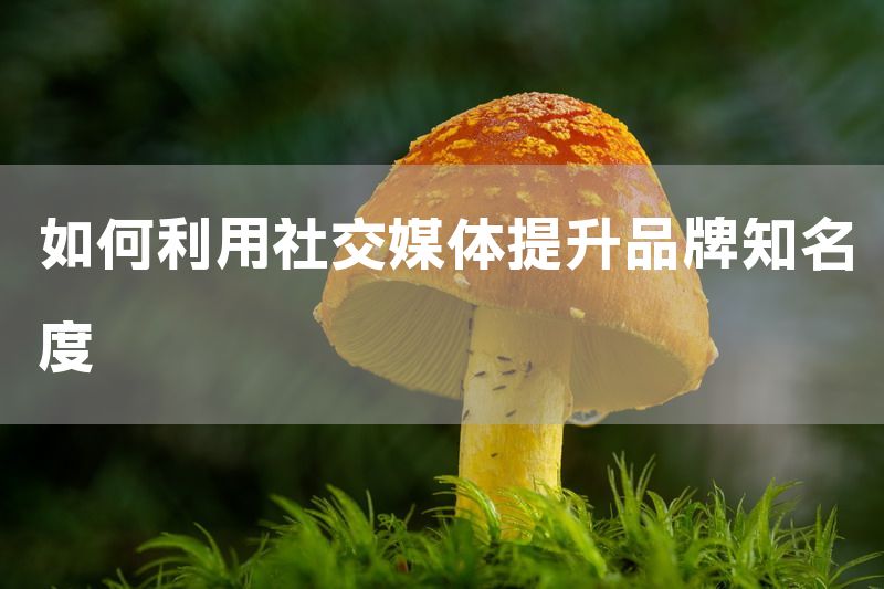 如何利用社交媒体提升品牌知名度