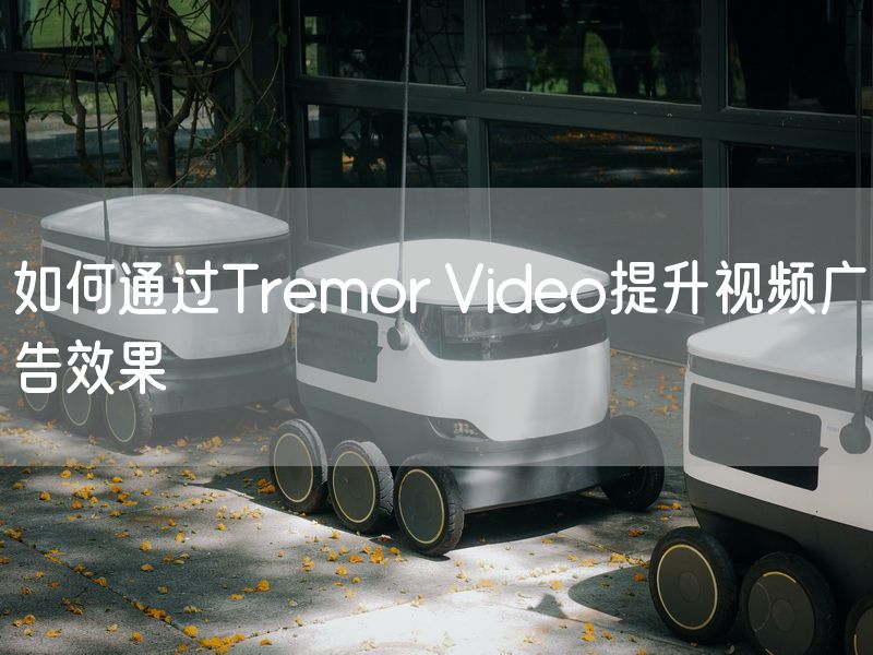 如何通过Tremor Video提升视频广告效果