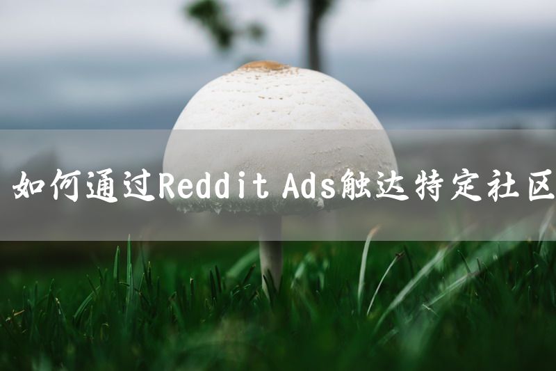 如何通过Reddit Ads触达特定社区