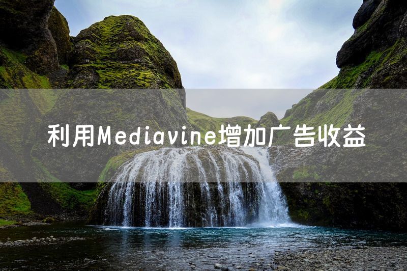 利用Mediavine增加广告收益