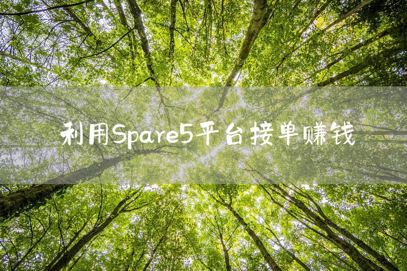 利用Spare5平台接单赚钱