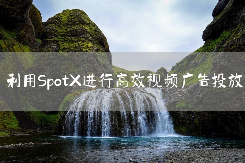 利用SpotX进行高效视频广告投放