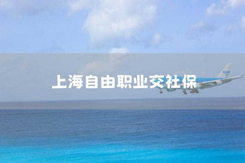 上海自由职业交社保