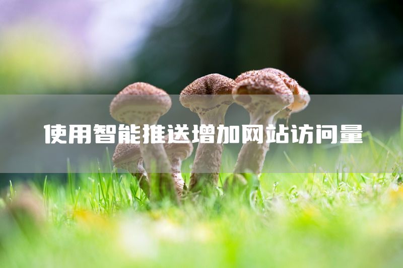 使用智能推送增加网站访问量