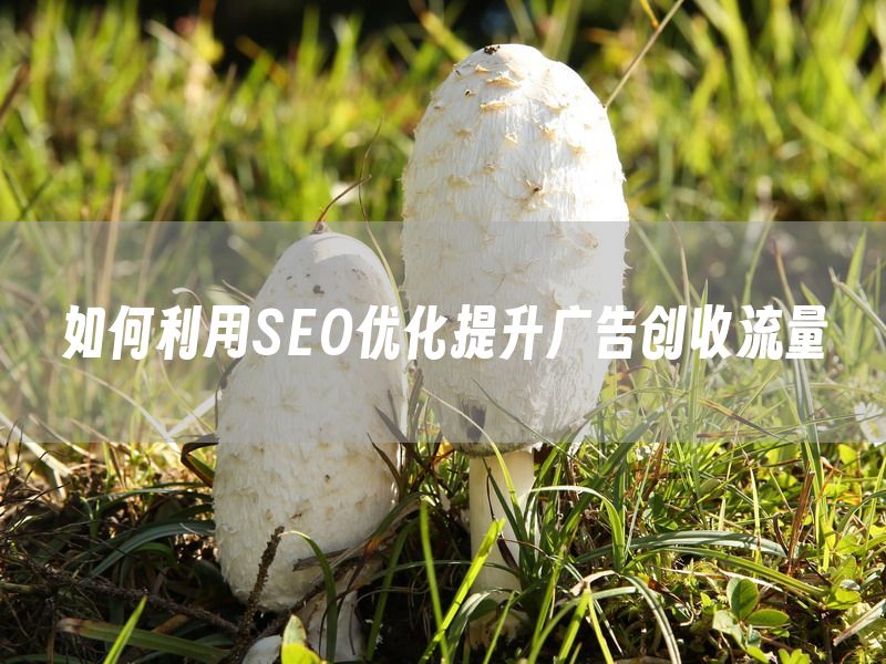 如何利用SEO优化提升广告创收流量