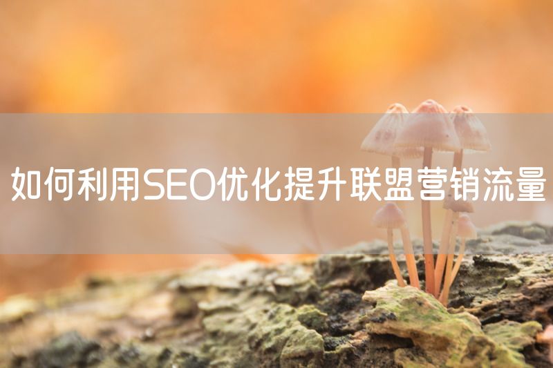 如何利用SEO优化提升联盟营销流量