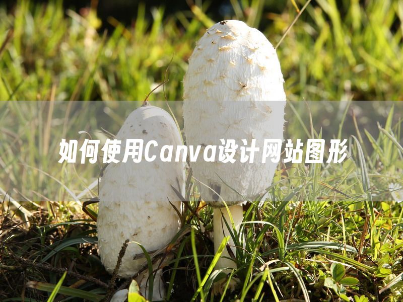 如何使用Canva设计网站图形