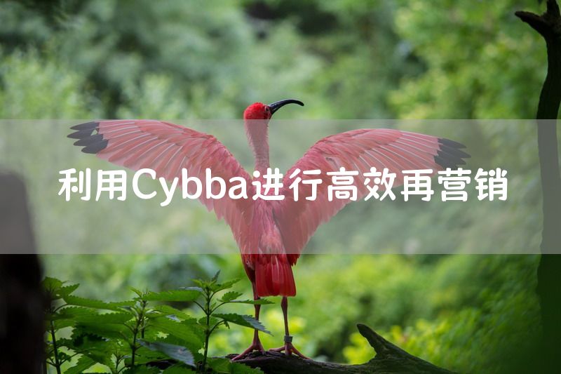 利用Cybba进行高效再营销