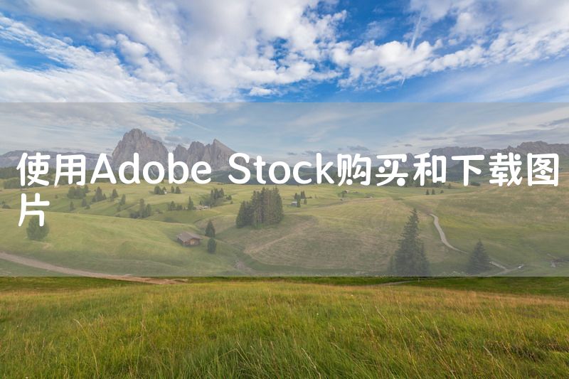 使用Adobe Stock购买和下载图片