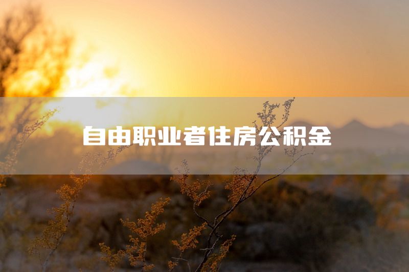 自由职业者住房公积金