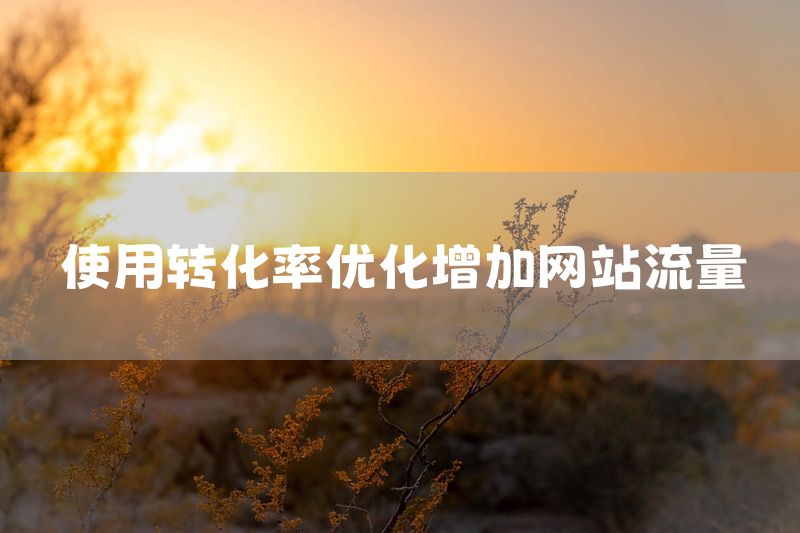 使用转化率优化增加网站流量