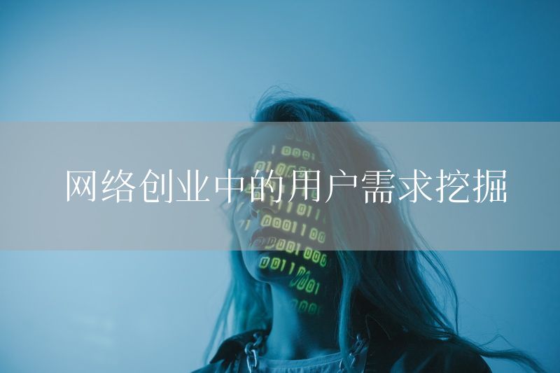 网络创业中的用户需求挖掘