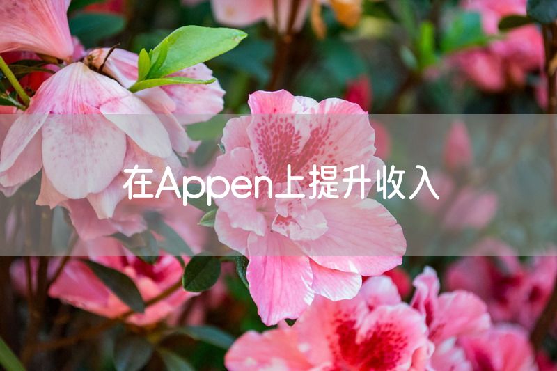 在Appen上提升收入