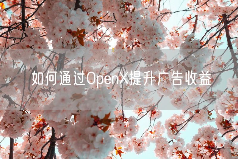 如何通过OpenX提升广告收益