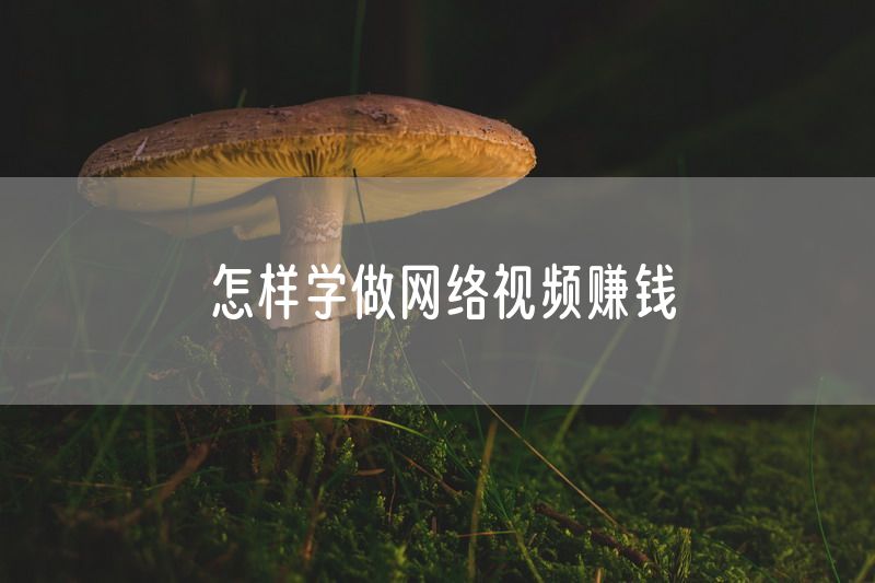 怎样学做网络视频赚钱