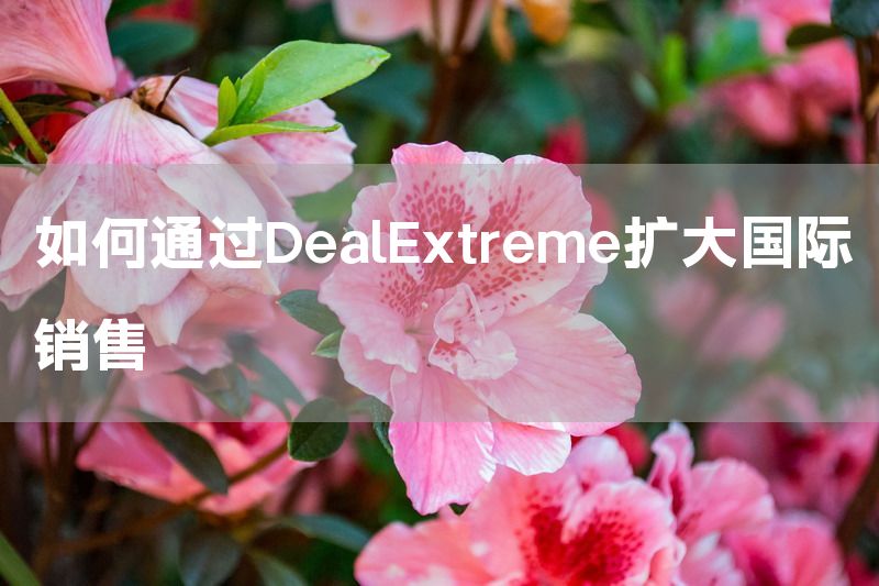 如何通过DealExtreme扩大国际销售