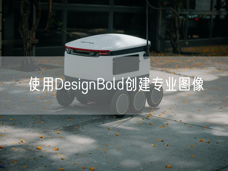 使用DesignBold创建专业图像