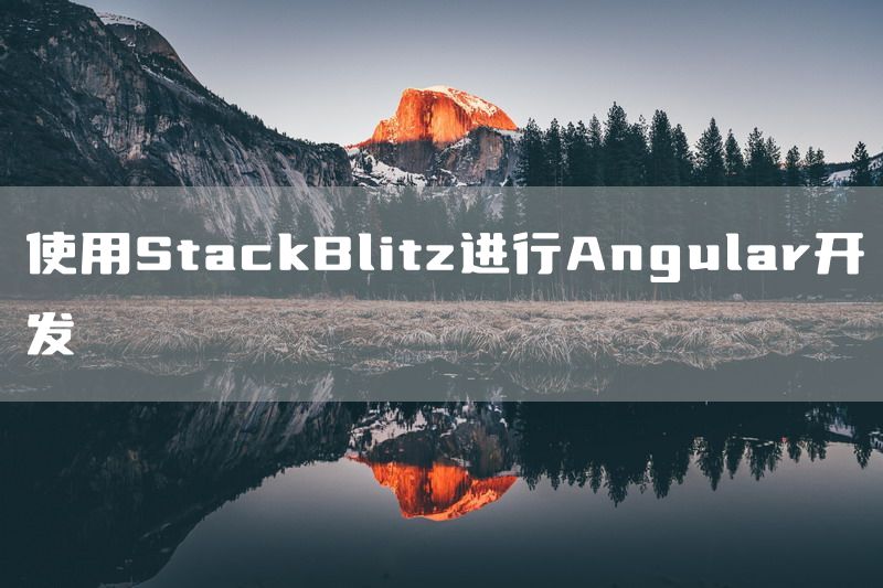 使用StackBlitz进行Angular开发