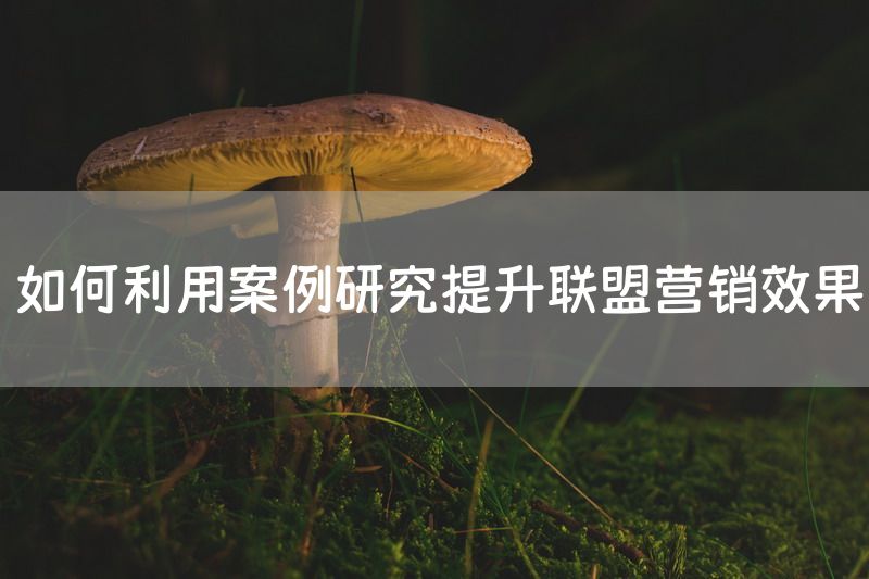 如何利用案例研究提升联盟营销效果