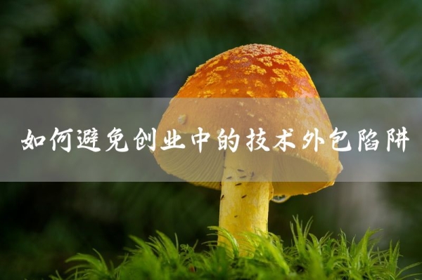 如何避免创业中的技术外包陷阱