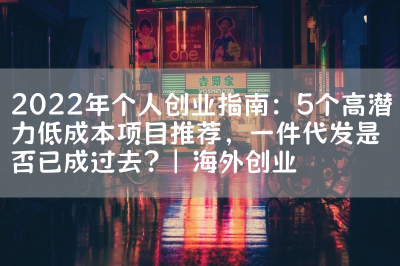 2022年个人创业指南：5个高潜力低成本项目推荐，一件代发是否已成过去？| 海外创业