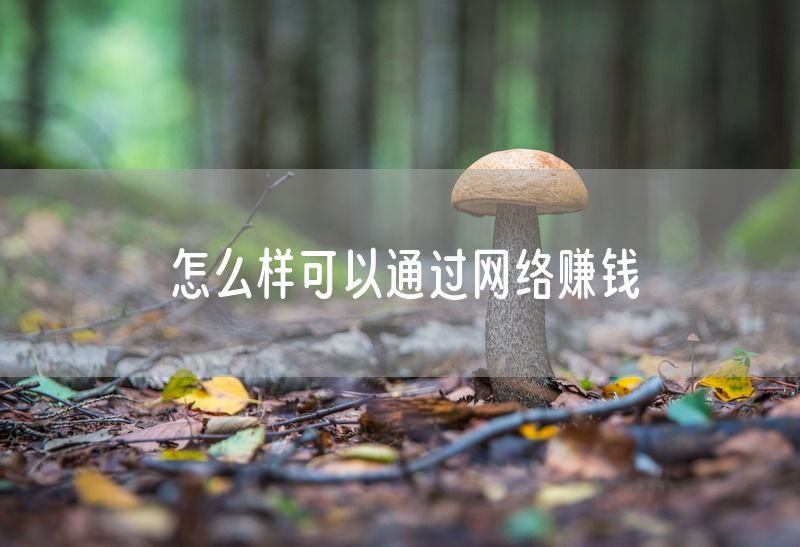 怎么样可以通过网络赚钱