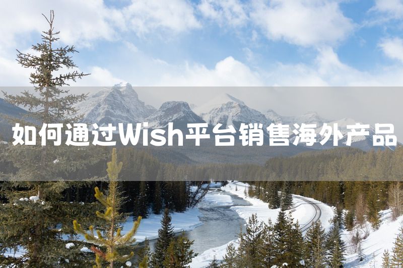 如何通过Wish平台销售海外产品