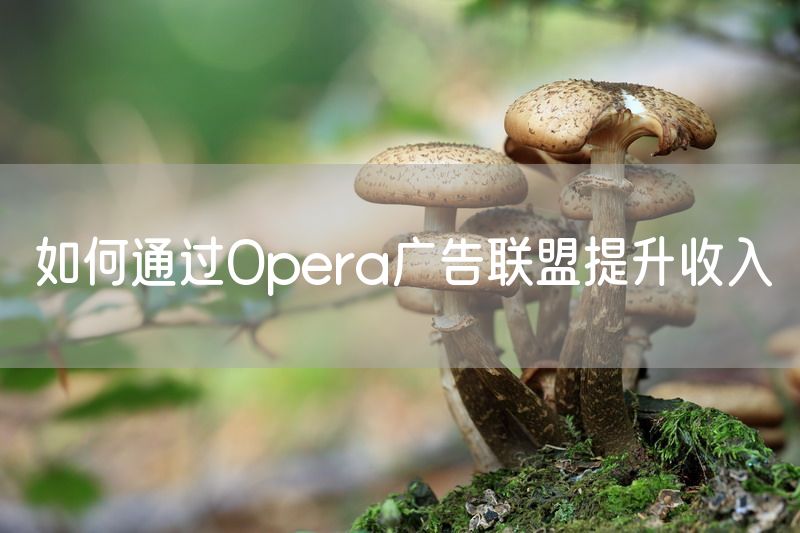 如何通过Opera广告联盟提升收入