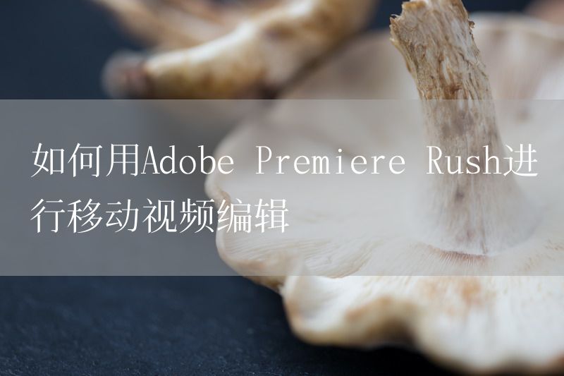 如何用Adobe Premiere Rush进行移动视频编辑