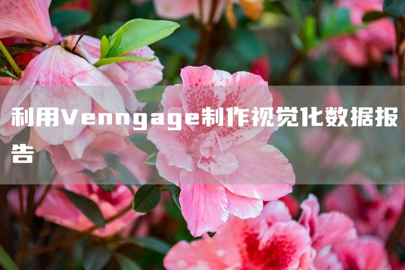 利用Venngage制作视觉化数据报告