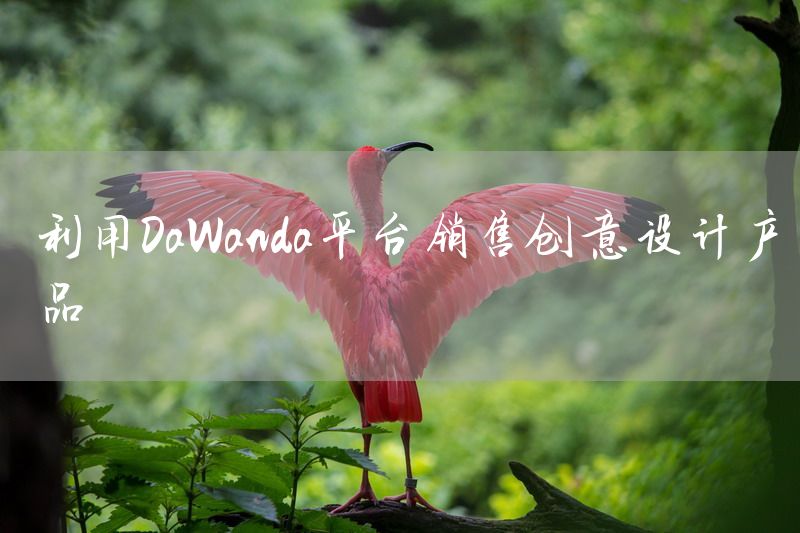 利用DaWanda平台销售创意设计产品