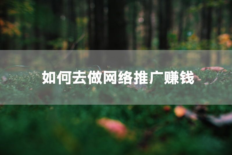 如何去做网络推广赚钱