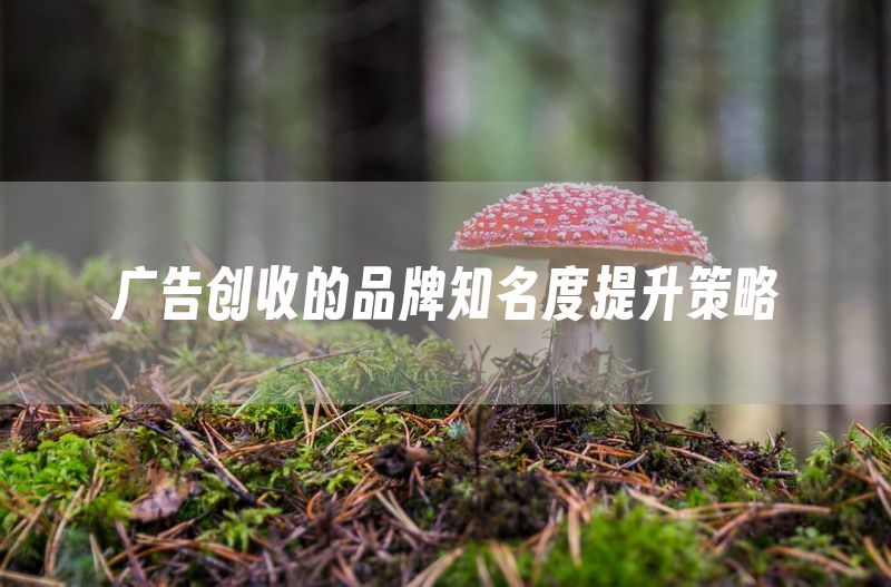 广告创收的品牌知名度提升策略