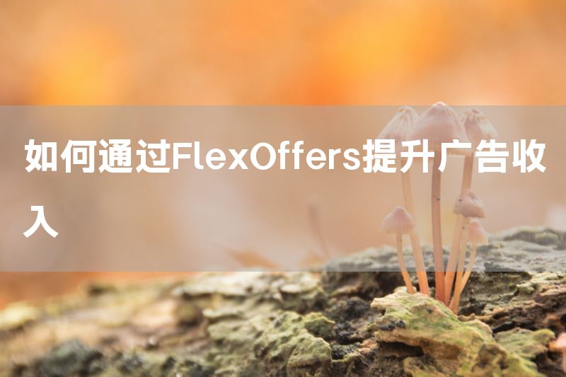 如何通过FlexOffers提升广告收入