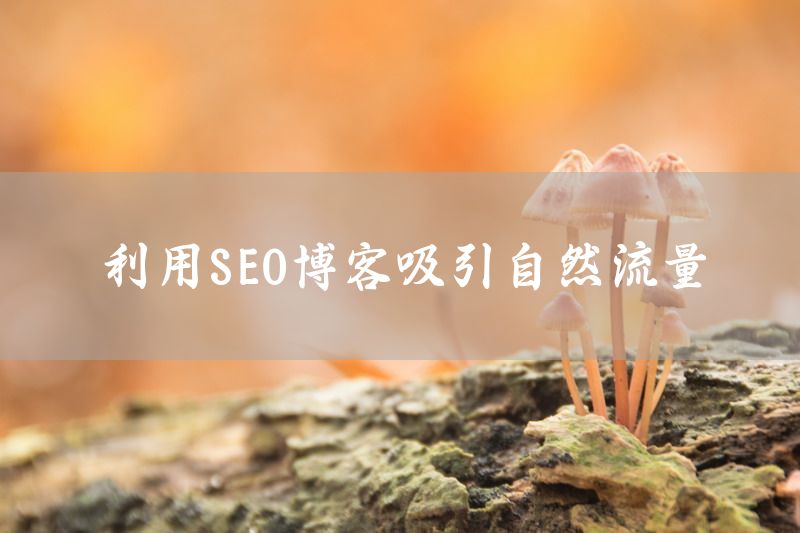 利用SEO博客吸引自然流量