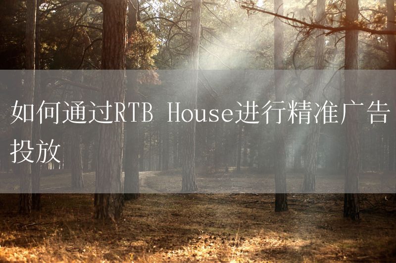 如何通过RTB House进行精准广告投放