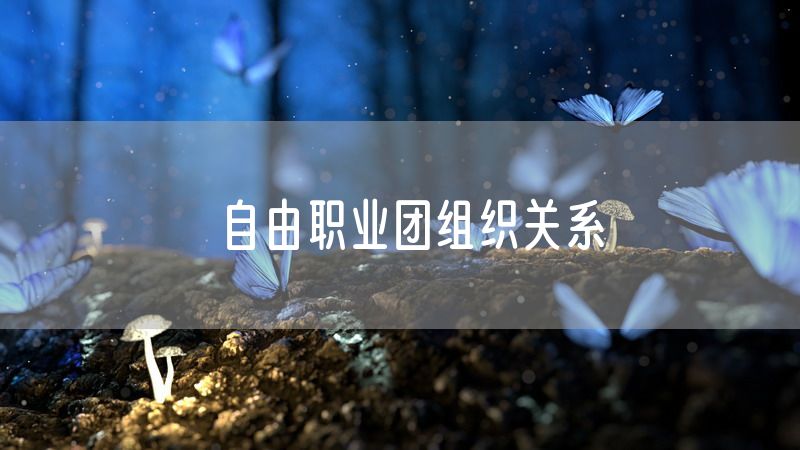 自由职业团组织关系